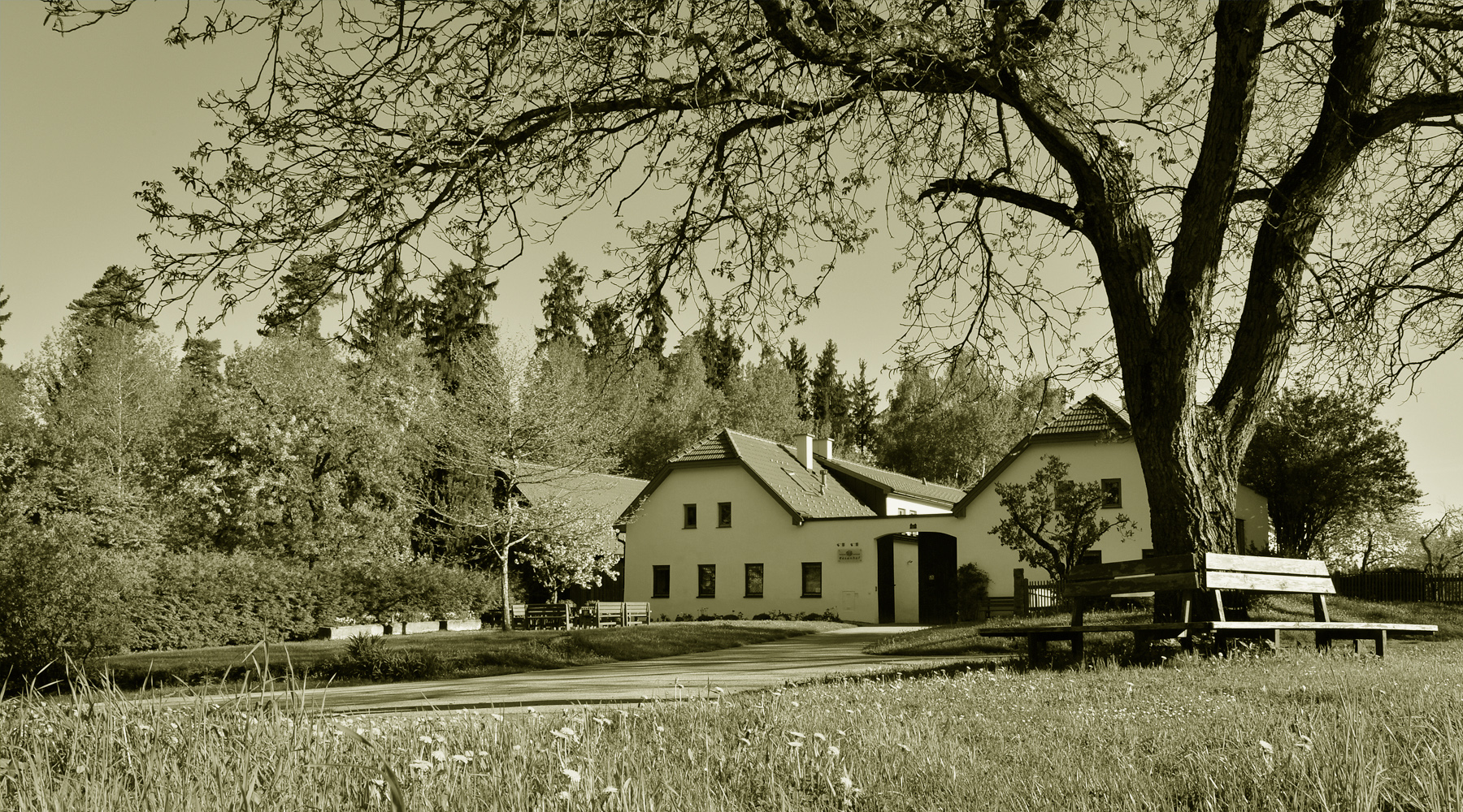 7. – 12.8.2023: Yoga und singen am Rosenhof 7. – 12.8.2023: Yoga und singen am Rosenhof